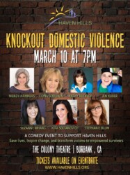 Knockout Domestic Violence show benefiting Haven Hills.